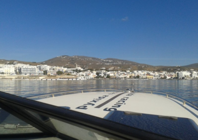 ΣΧΟΛΗ ΠΥΞΙΔΑ