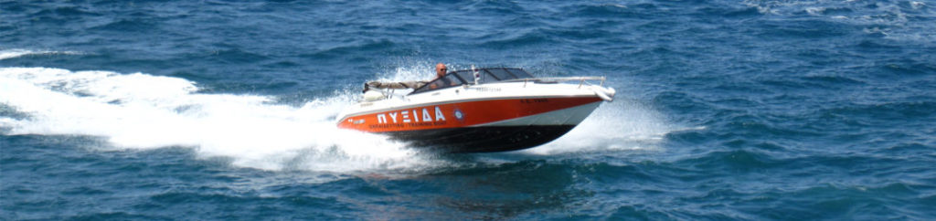 ΣΧΟΛΗ ΠΥΞΙΔΑ