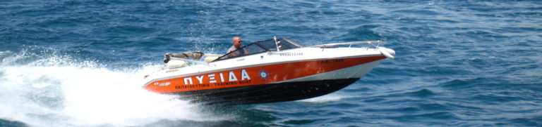 ΣΧΟΛΗ ΠΥΞΙΔΑ