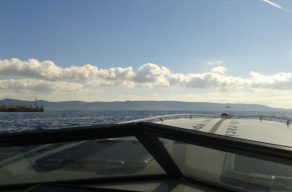 ΣΧΟΛΗ ΠΥΞΙΔΑ