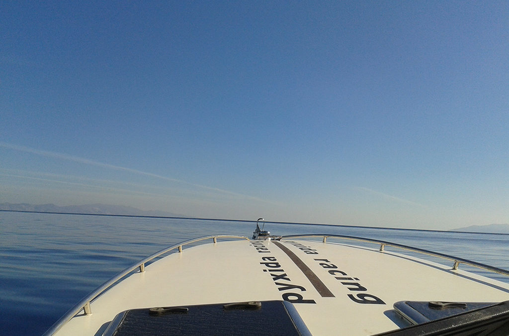 ΣΧΟΛΗ ΠΥΞΙΔΑ