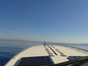 ΣΧΟΛΗ ΠΥΞΙΔΑ