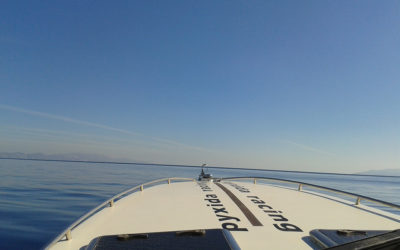 ΣΧΟΛΗ ΠΥΞΙΔΑ