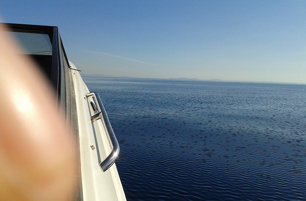 ΣΧΟΛΗ ΠΥΞΙΔΑ