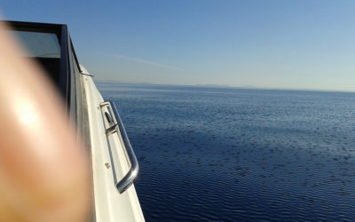 ΣΧΟΛΗ ΠΥΞΙΔΑ