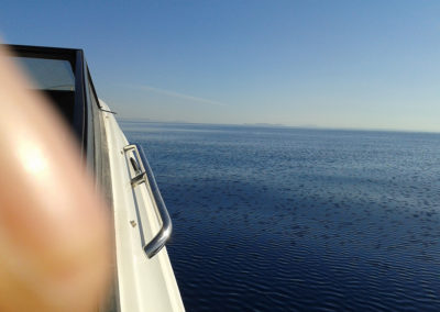 ΣΧΟΛΗ ΠΥΞΙΔΑ