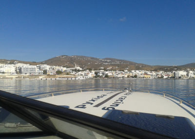 ΣΧΟΛΗ ΠΥΞΙΔΑ