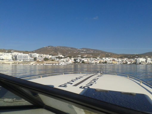 ΣΧΟΛΗ ΠΥΞΙΔΑ