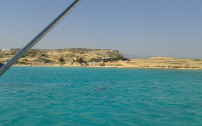 ΣΧΟΛΗ ΠΥΞΙΔΑ