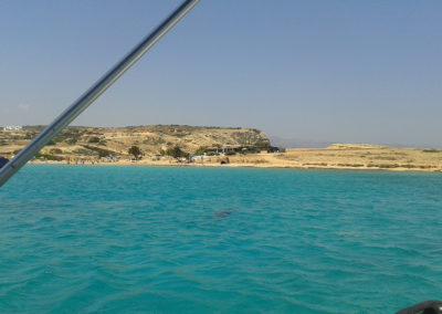 ΣΧΟΛΗ ΠΥΞΙΔΑ