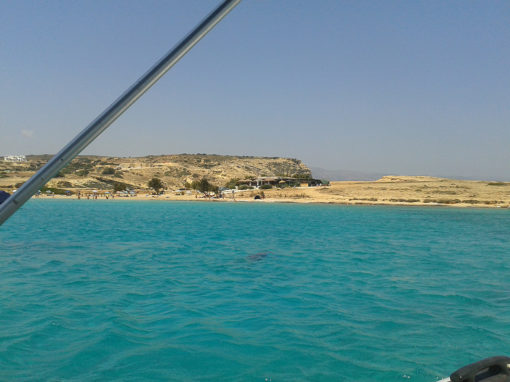 ΣΧΟΛΗ ΠΥΞΙΔΑ