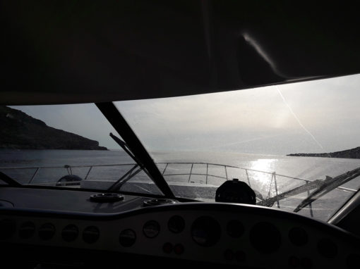 ΣΧΟΛΗ ΠΥΞΙΔΑ