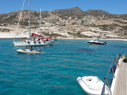 ΣΧΟΛΗ ΠΥΞΙΔΑ