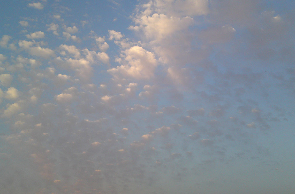 ΣΧΟΛΗ ΠΥΞΙΔΑ