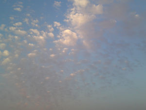 ΣΧΟΛΗ ΠΥΞΙΔΑ