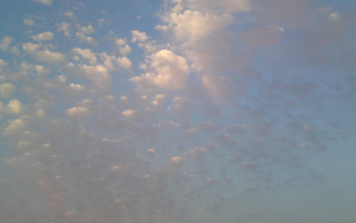 ΣΧΟΛΗ ΠΥΞΙΔΑ