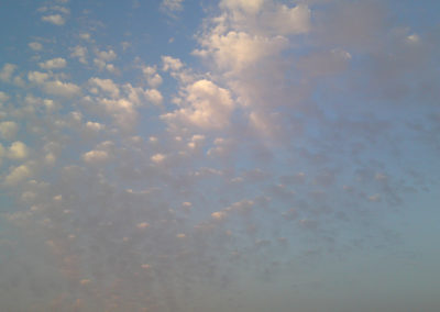 ΣΧΟΛΗ ΠΥΞΙΔΑ